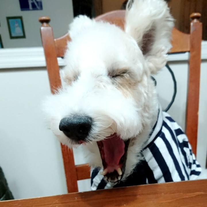 2bbb4166 cddf 4c43 875c 4f90bc636077 1511260423647