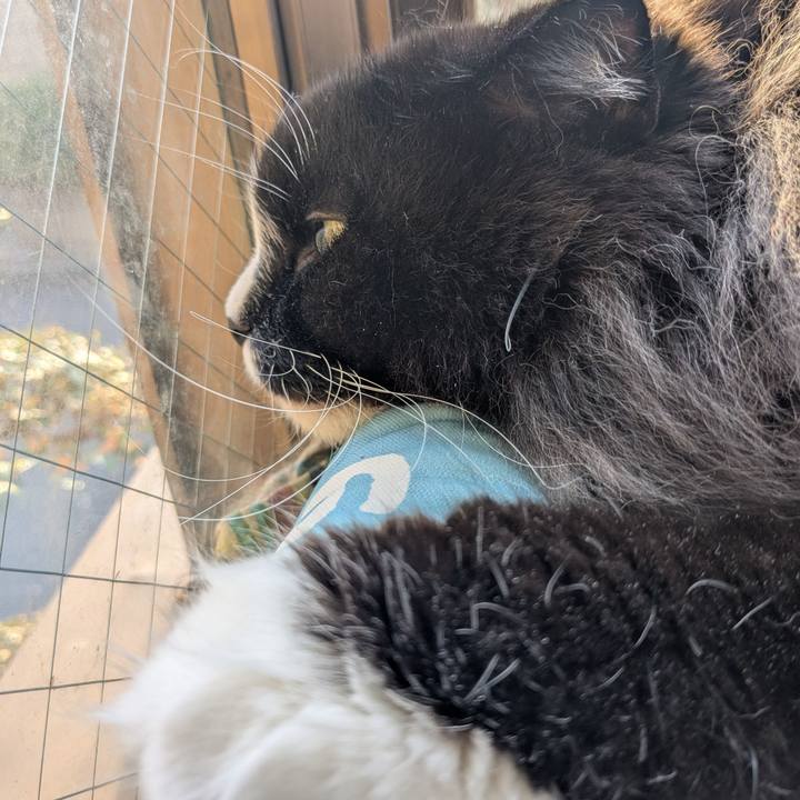 2bbb7268 efc4 427a 978b 249d93d629a0 1774769233870