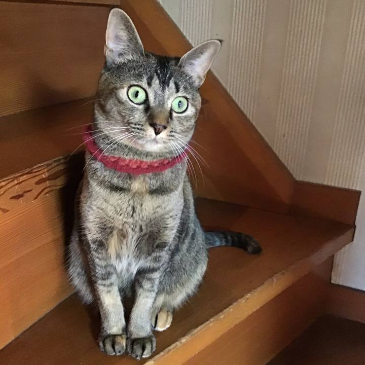 2bbb7b47 f73c 4979 baab dc7a79fa0f97 1603613501594