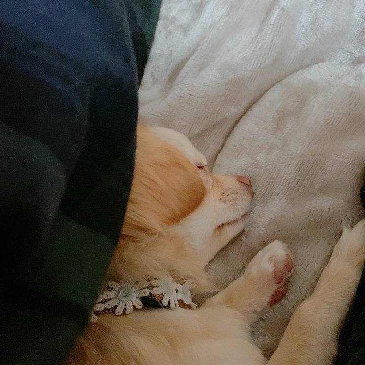 2bbb99d2 11dc 4a2d a60f a770b0dae2f1 1613172474035