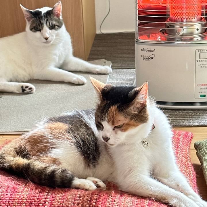 2bbba1af 4aa7 4de1 963f 3a68cefd27b5 1679718876341