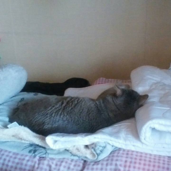 2bbbcf90 3842 4a66 970f fd9fe2acb73e 1524457740695