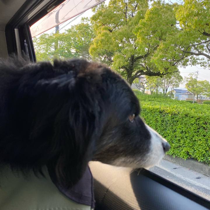 2bbbf7c1 07ff 49a6 9c7b f9e0cdf4574f 1683842882869