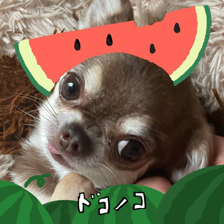 2bbc7279 4cd3 4293 835d f55317b4e99a 1720785981960