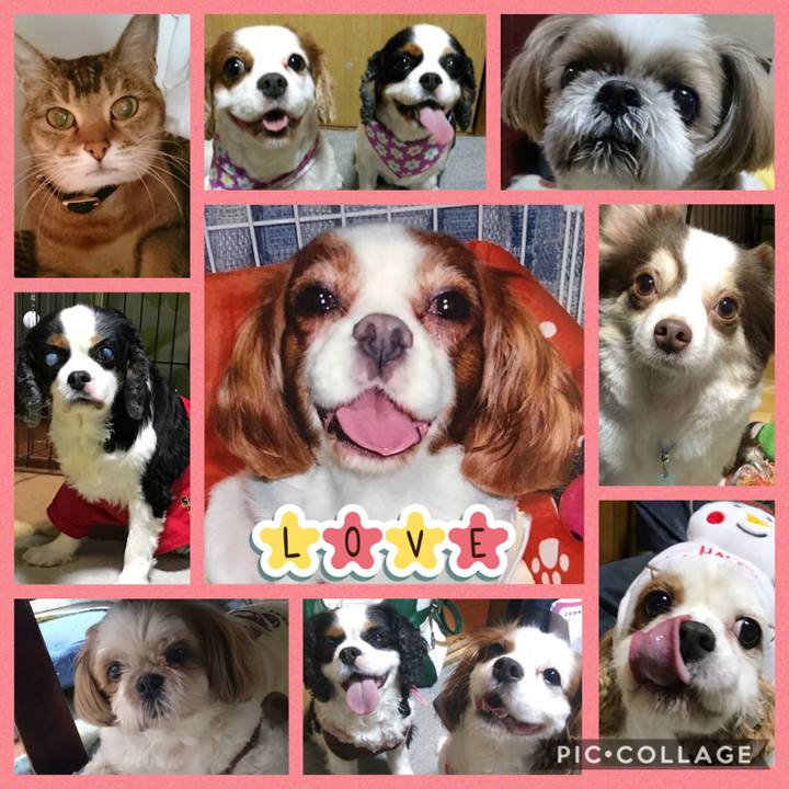 2bbc9d8a 95c8 48ae a83c 3aac3bde23e0 1552659034711