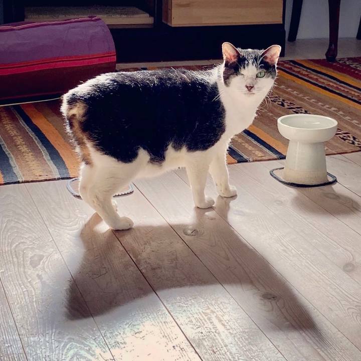 2bbca958 aef6 4283 889e f37f638234e6 1615120281143