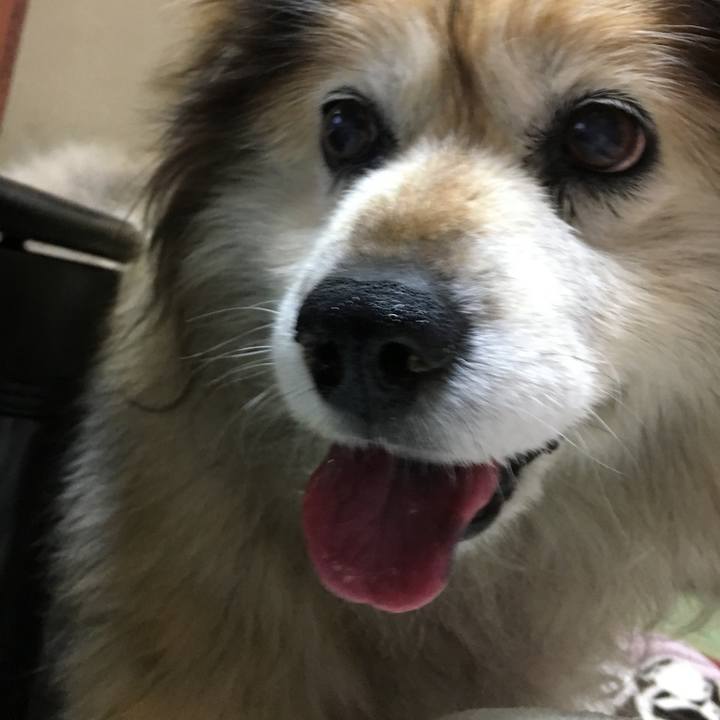 2bbcbb1d c0bb 46ec 94c0 eb9d6c2b2526 1579652583697