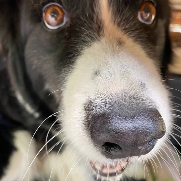 2bbcc2f5 785c 4783 9f9d 6b94c8aa4bb4 1653183979428