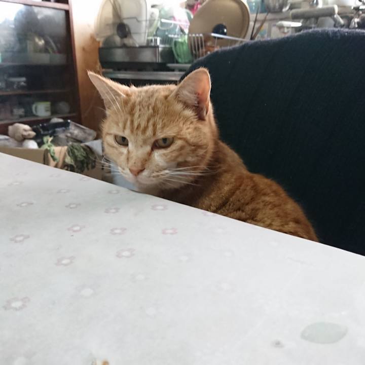 2bbcd248 f26e 459a 9a4b 7997ed266e2d 1581375313865