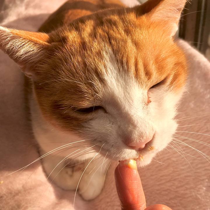 2bbcdbe8 cd38 4689 90d8 fc9263ae5ec0 1575440301398