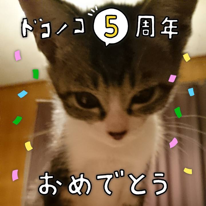 2bbd09fb 0c0b 4b42 a7b2 2a524446a561 1622886460482