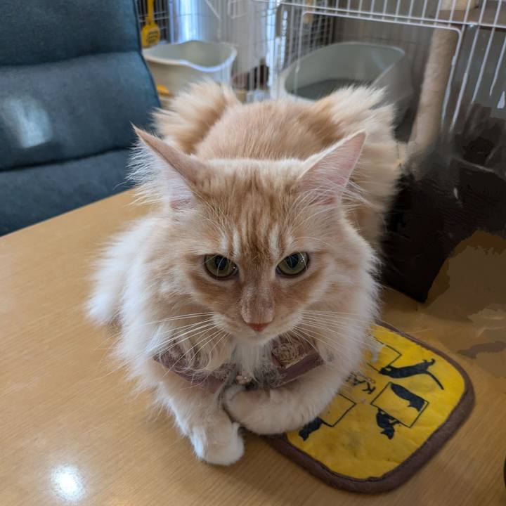 2bbd6a17 b3ce 41d4 b3c0 0fa300973316 1725487059821