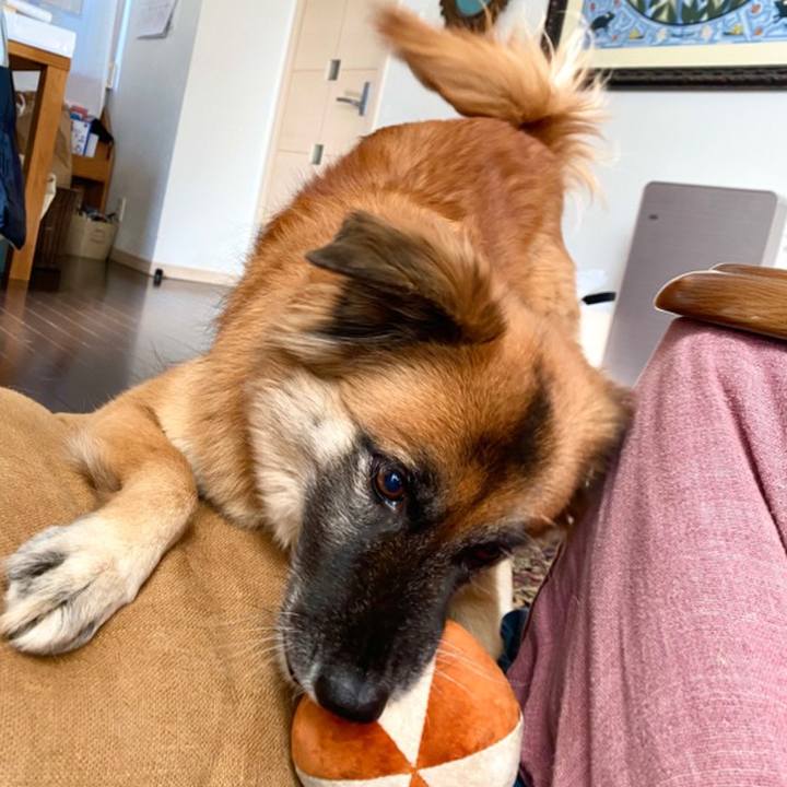 2bbd6c3e b0f4 49db 9f13 b1ccc808a93e 1766455741136