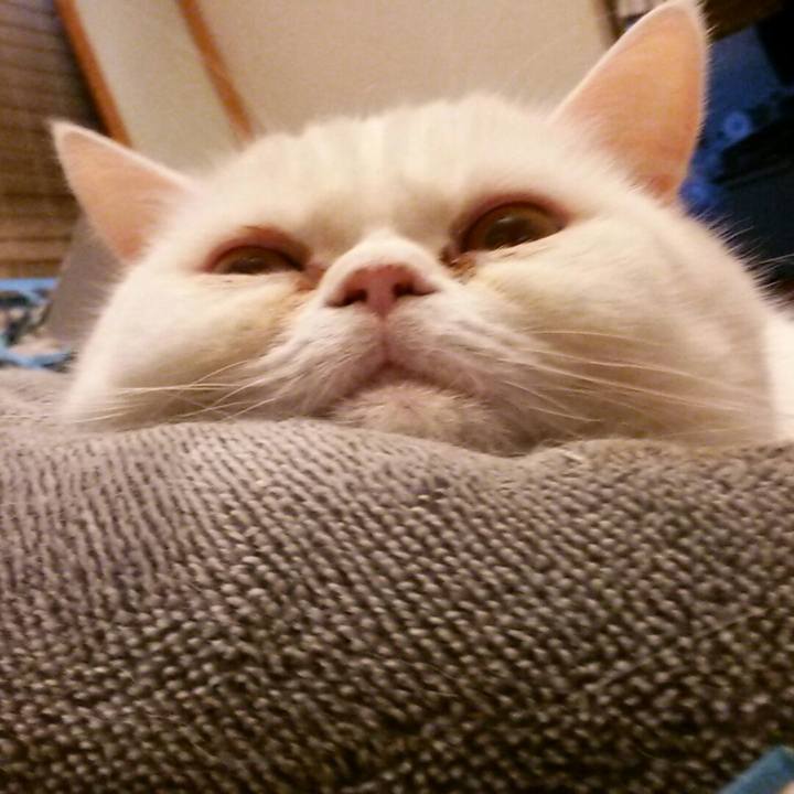 2bbdb418 6bc5 4279 ab2f 0a47848511c4 1585108670969