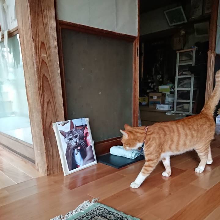 2bbdb5b4 d8ca 4b35 ac28 55642975a0ee 1600481742238