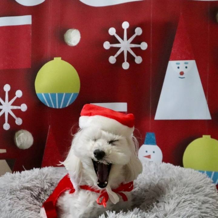 2bbdce98 fd01 4cea 81c6 a5224b84ed3f 1639921419432