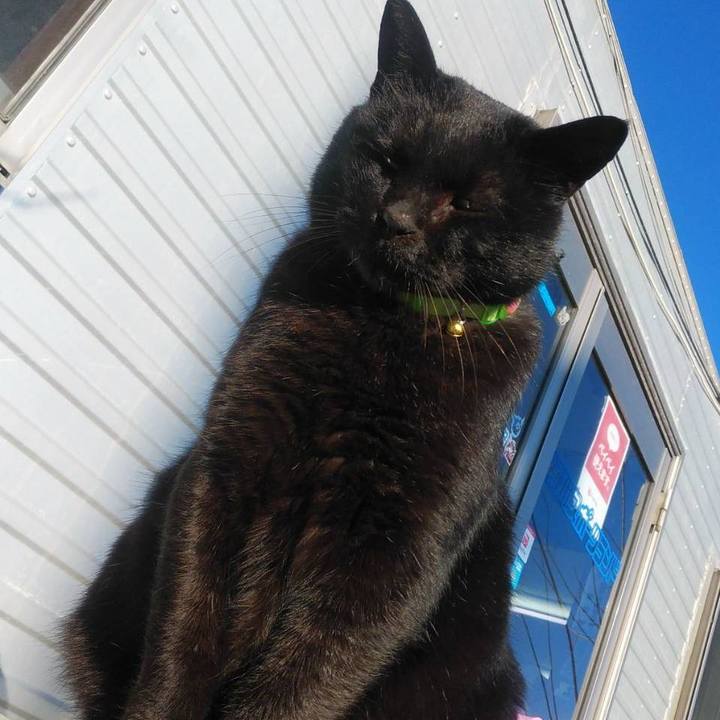 2bbde3c3 7af0 451c a9f1 ff97cae7d551 1579480899291