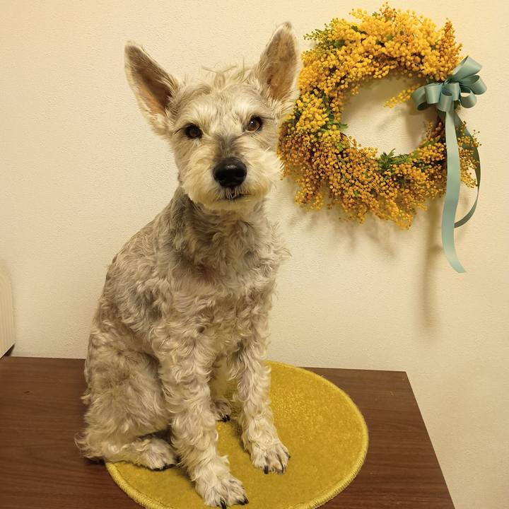 2bbdf95d 4404 4827 9be8 a04f8ce689ea 1772532795066