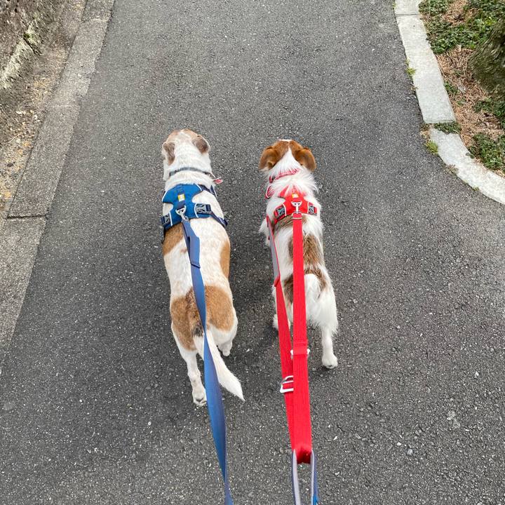 2bbe01c3 7ab3 44dd b47e f900fea62e36 1645233694570