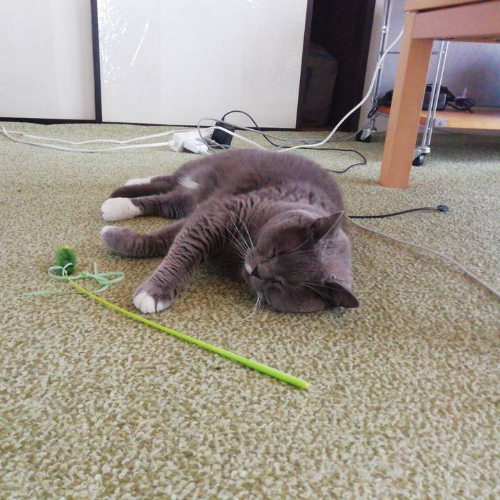 2bbe1868 d9c6 4aa7 911e e85a42d9f07c 1750973162099