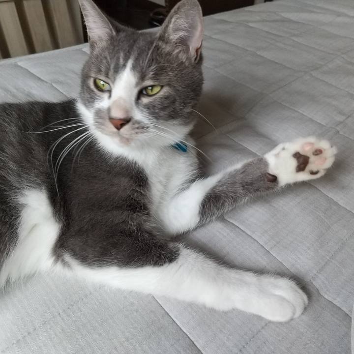 2bbe331c a2f0 48e6 9b48 b652dfec174b 1598940529069