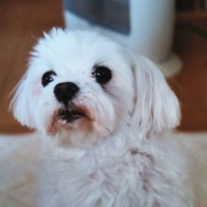 2bbe7637 efaf 4ac9 98d3 dc4d049fbf0f 1571103117086