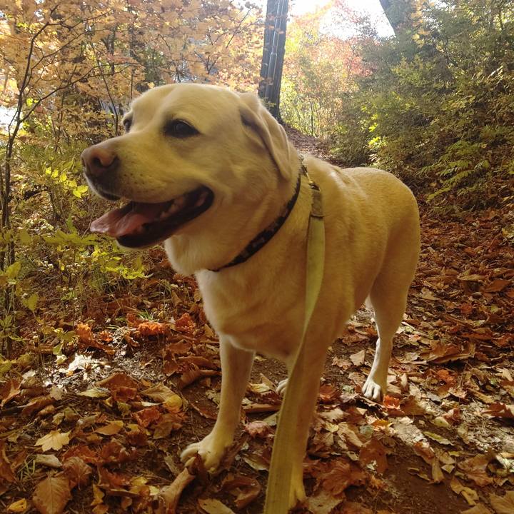 2bbeb33d 82b9 4a96 baf9 4f1f8106b025 1698646973978