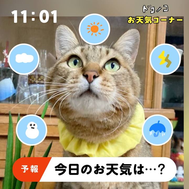 2bbebcb5 3730 4c27 b56a c45d277c192c 1781569932716