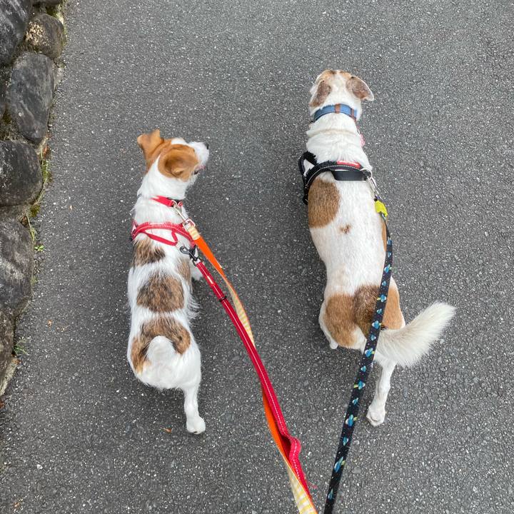 2bbf0f46 3790 4d5d 97f4 78c113420c22 1620529514865