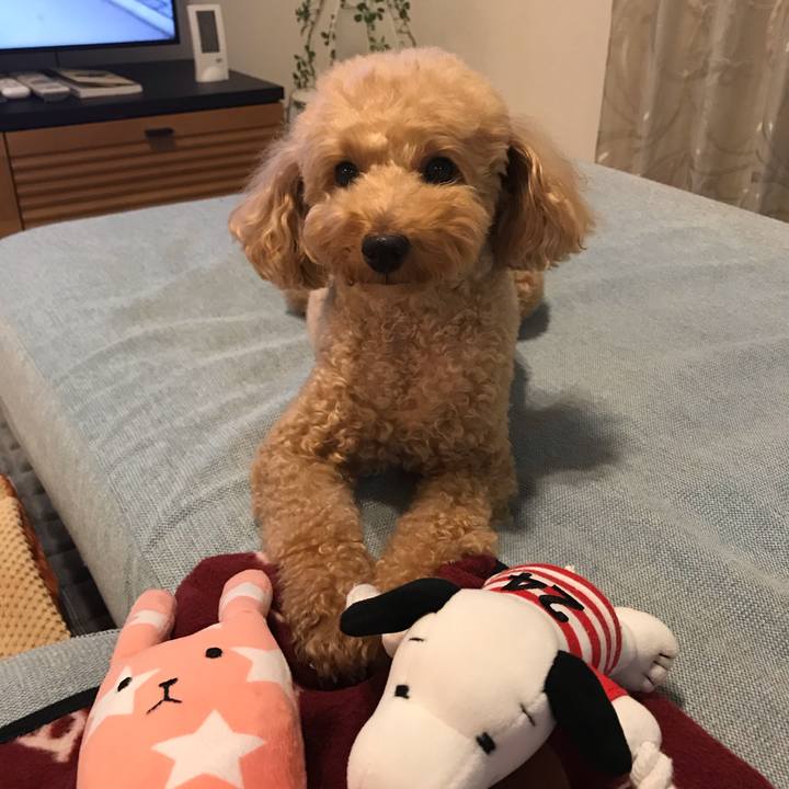 2bbf2512 f7d3 4f7a aa6f 235cfba3d6e3 1573486664534