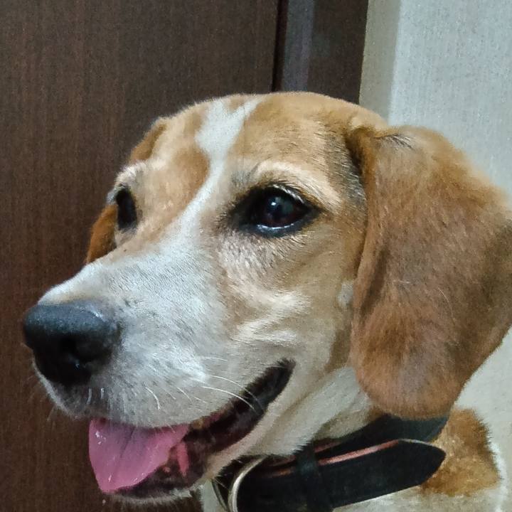 2bbf2680 9e64 4746 9ac0 40ff376c3686 1724149887535