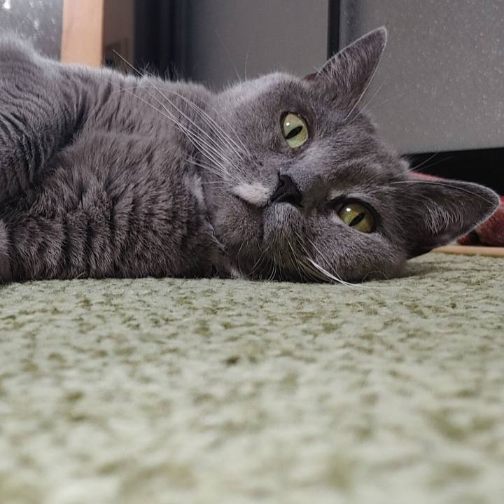 2bbf32e9 d3cf 43be abb7 78ace5eef362 1731832983571