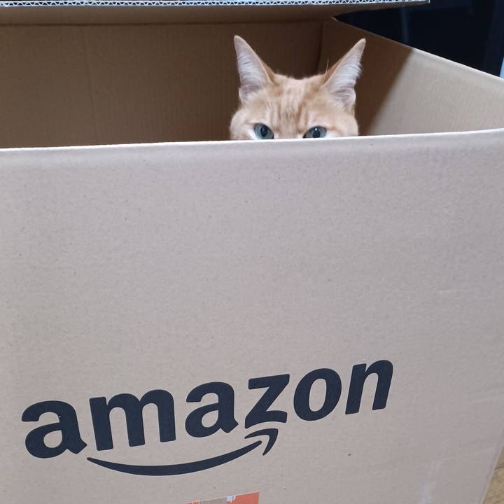 2bbf397c 100d 4831 b591 2673ffc29af1 1671188655761