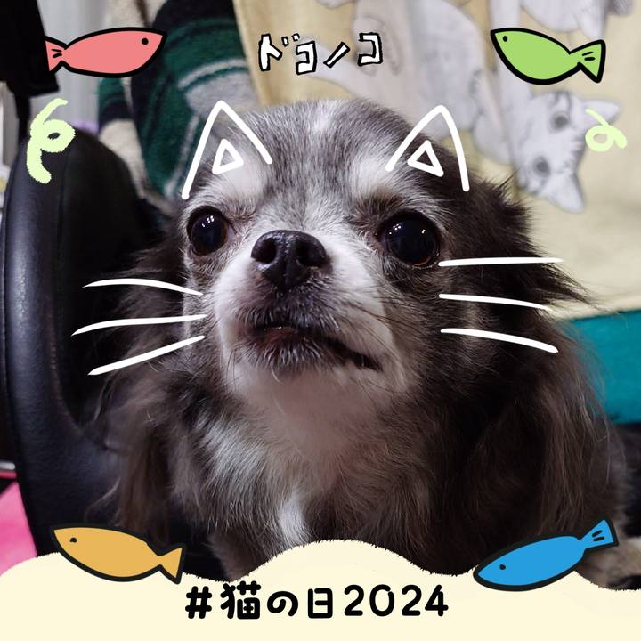 2bbf8698 7f1d 4f5b 8290 143e4b1d7c62 1708588191103