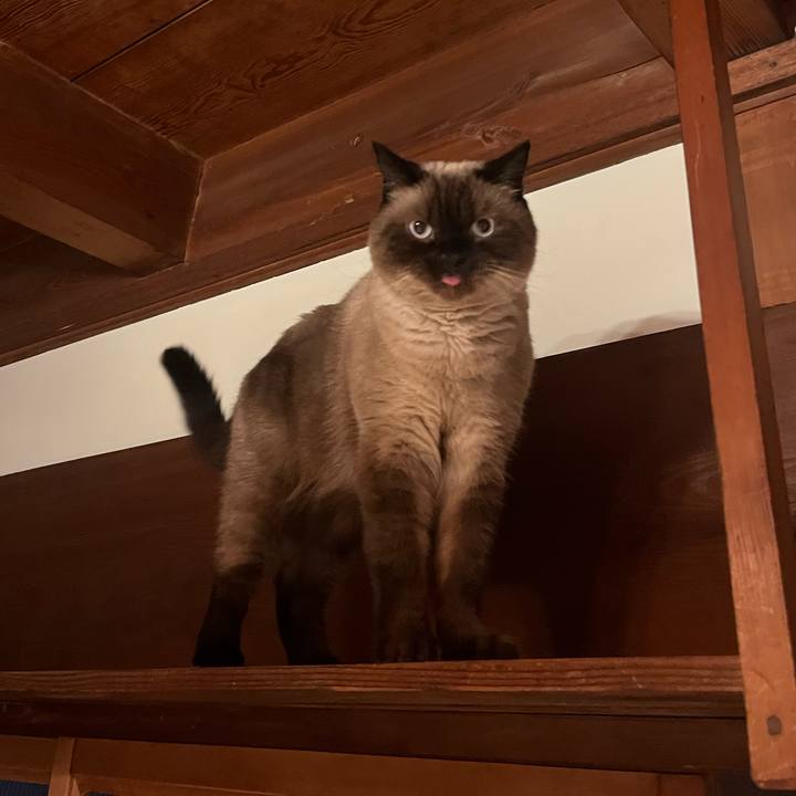 2bbfa6e3 c627 43de 9ee0 1f43cde9c1e3 1661074311219