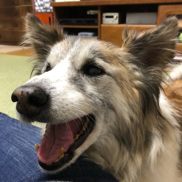 2bbff476 9759 4fd8 95b7 e76e974e8cbf 1517386350649