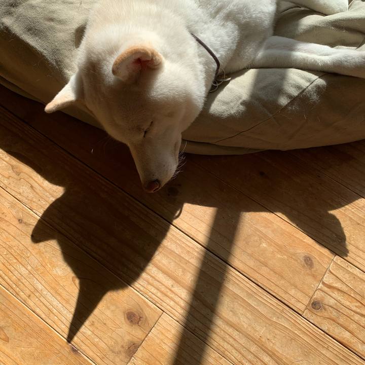 2bbffda0 e456 47bb b066 b186d13e6c6e 1602995427749