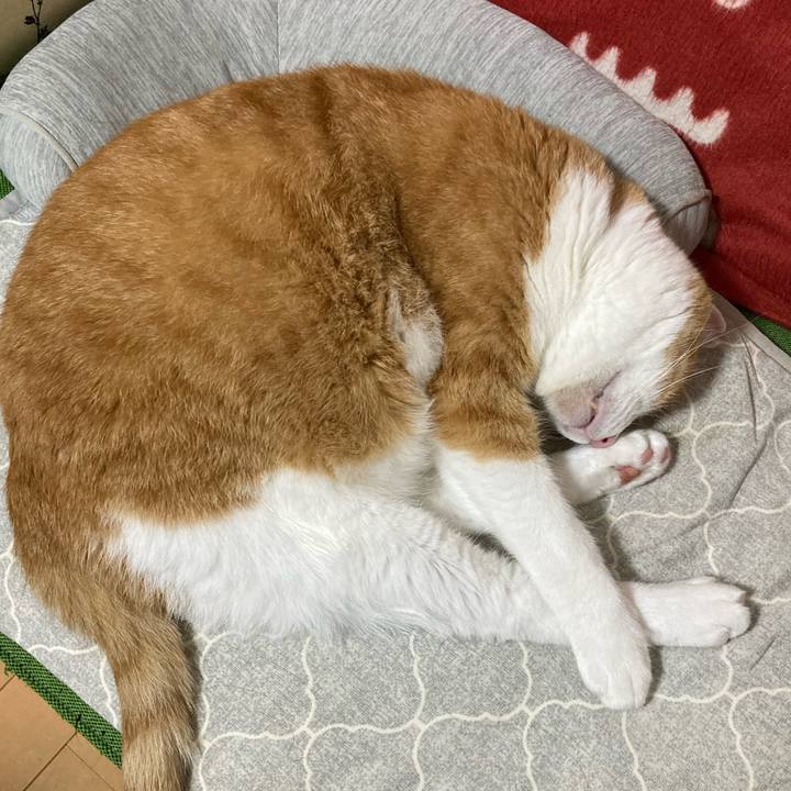 2bc00e2b 5841 428d 8ac4 9b83dc32110f 1765549140968