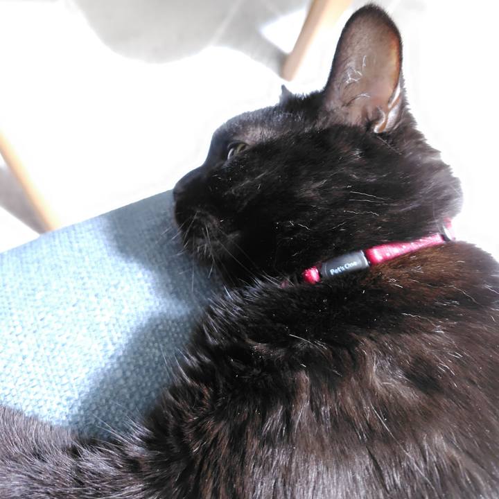 2bc028ee be35 478e 9b33 3d81ae6fbc8e 1728305873220