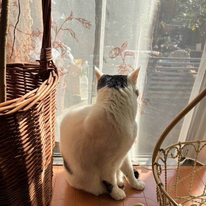 2bc06b12 b6dc 47e4 84fc 22e1d0c4cf6c 1771282530413