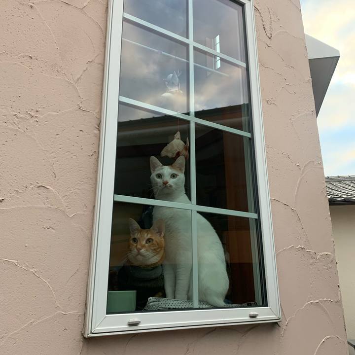 2bc08995 0ab5 457d b7a3 6fa54be08a48 1575151949091