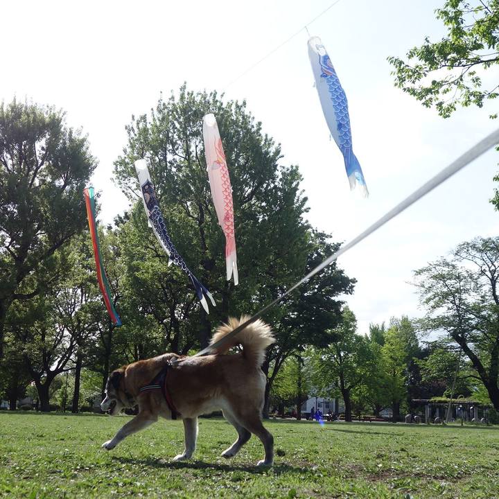 2bc08ef1 2f45 4fbf b887 1a34313f49ec 1556498322968