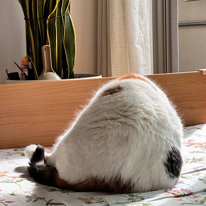 2bc0ffb3 643f 4aab b47e b5c775b819bf 1696220565223