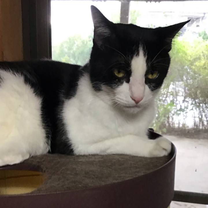 2bc11812 0938 42ff 856d 56ce82df042a 1759232095989