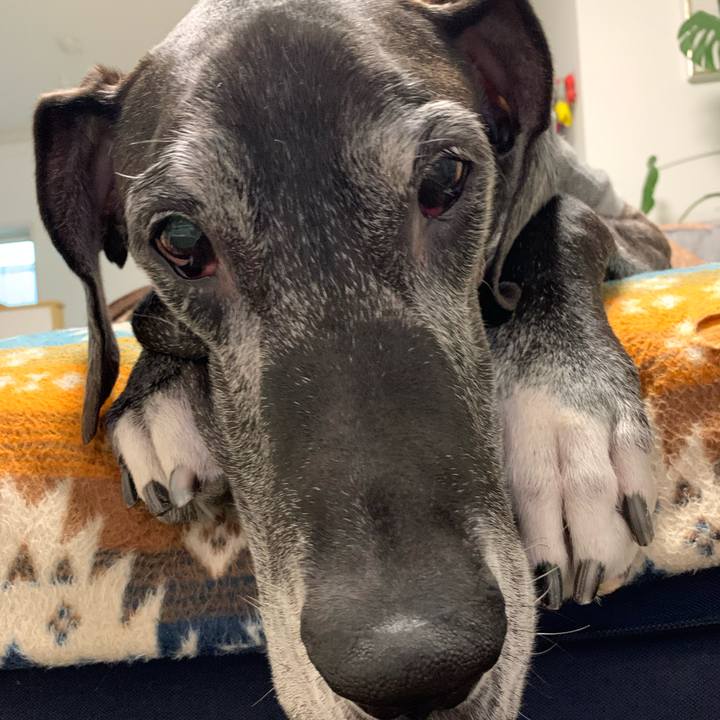 2bc17d9a 1fd9 4f72 889e f62ef8db5757 1606949444072