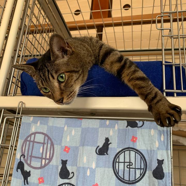 2bc18d2a c52e 41e5 8cd2 b5c02fb27c2e 1566781082063