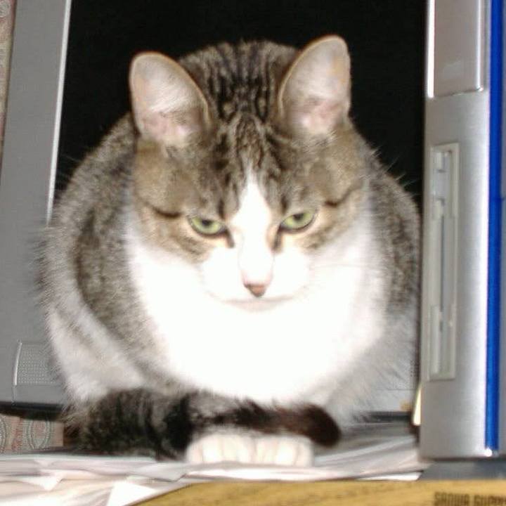 2bc1bc74 27e8 4539 b870 931820afd3ab 1763419983799