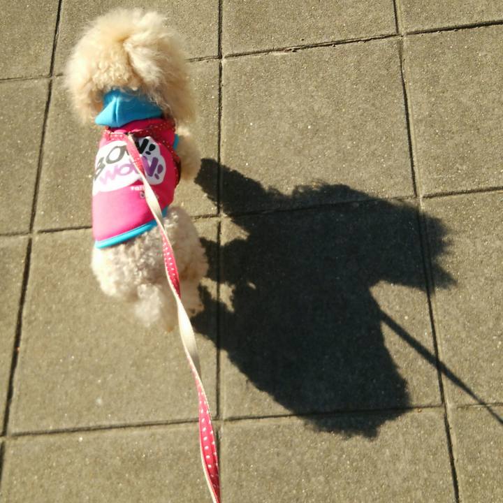 2bc2124b 9953 46c2 b26c 7c224e52462f 1516101437633