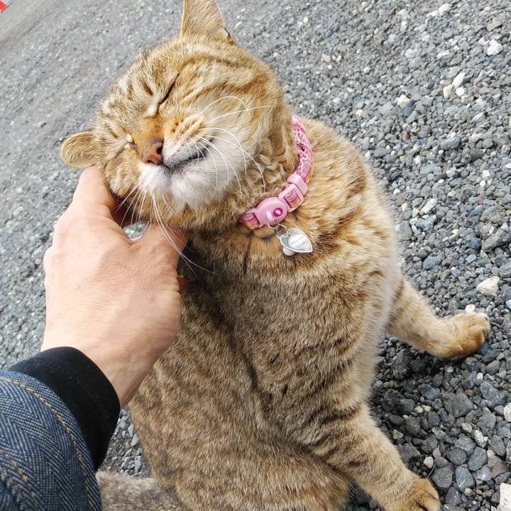 2bc21c1a e101 4f36 9a13 edd61e10da6d 1590105345619