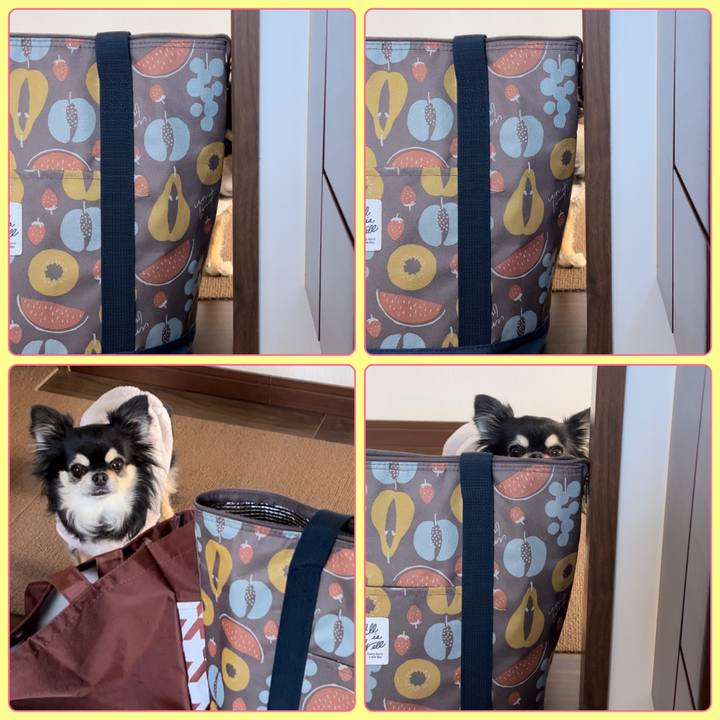 2bc235e4 8d89 4fb9 985a 9899759b640f 1671339305154